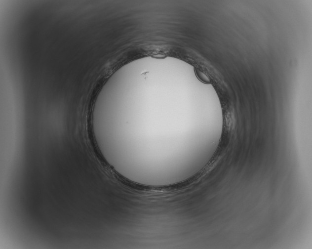X0000102280570200807250943