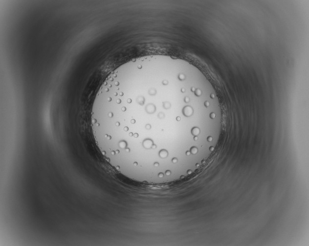 X0000102280573200807250943
