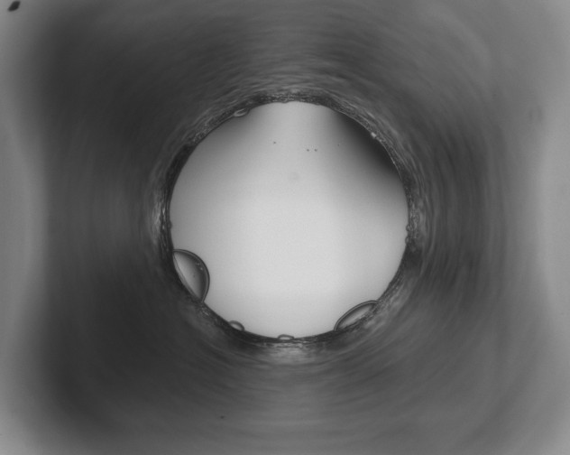 X0000102280574200807250943