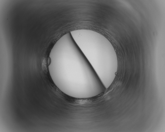 X0000102280575200807250943