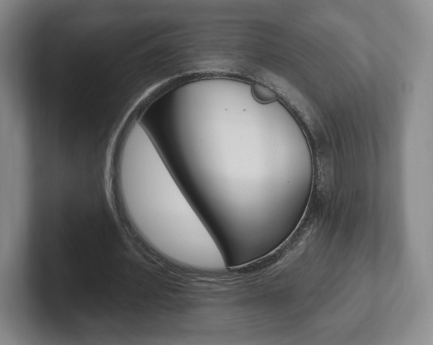 X0000102280580200807250943