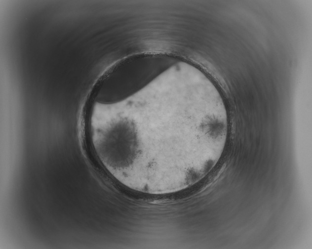 X0000102280584200807250943