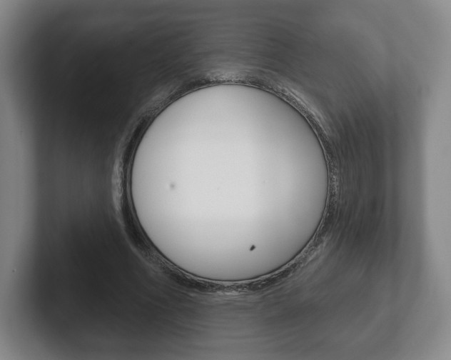 X0000102280586200807250943