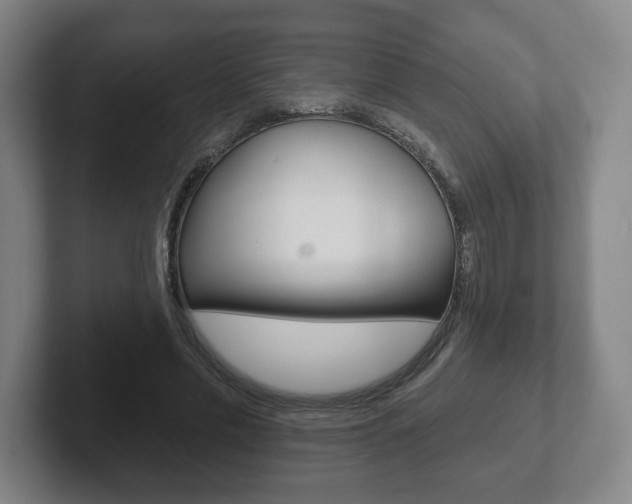 X0000102280589200807250943