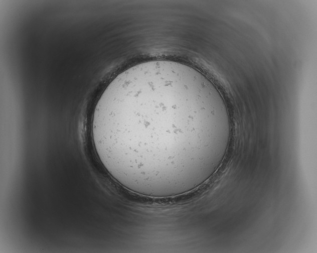 X0000102280592200807250943