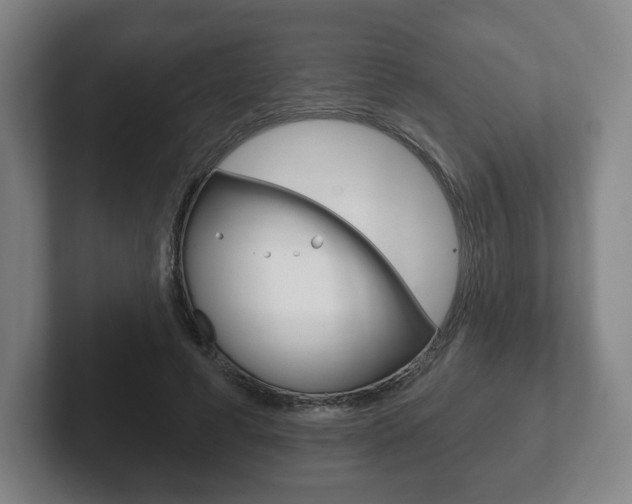 X0000102280593200807250943