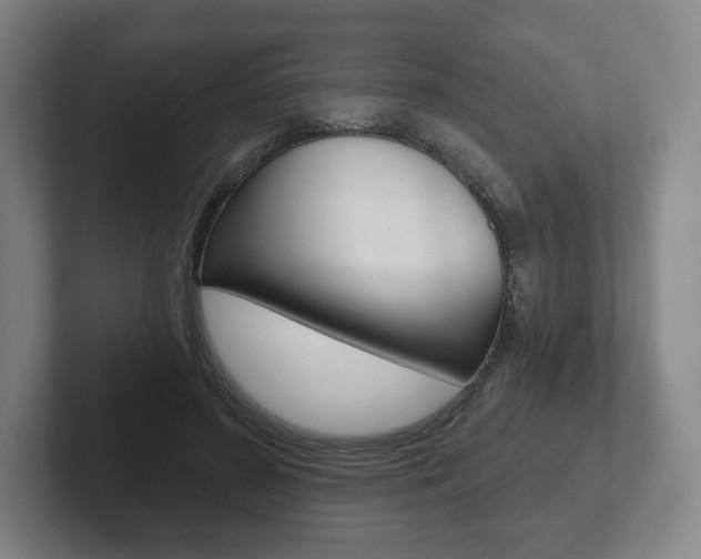 X0000102280596200807250942