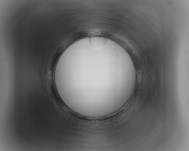 X0000102280598200807250942