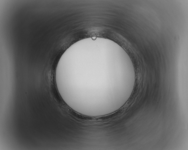 X0000102280603200807250942