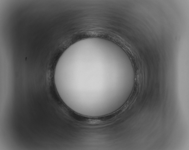 X0000102280605200807250942
