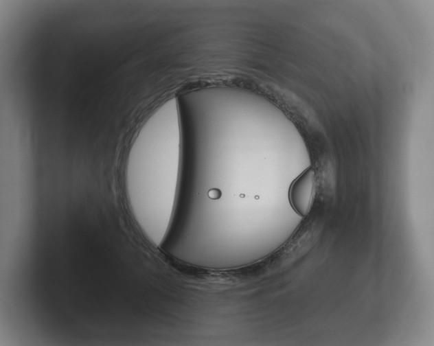 X0000102280608200807250942