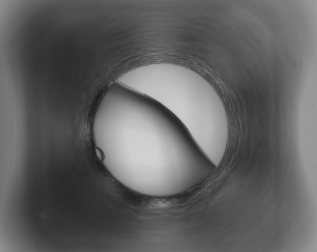 X0000102280613200807250942