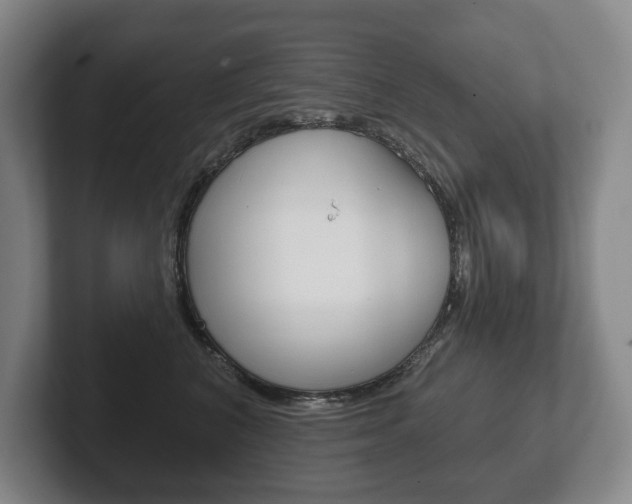 X0000102280616200807250942