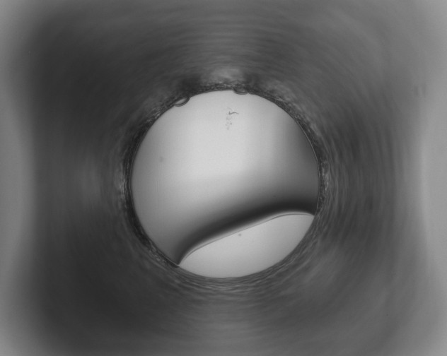 X0000102280617200807250942