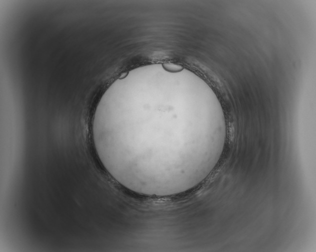 X0000102280618200807250942