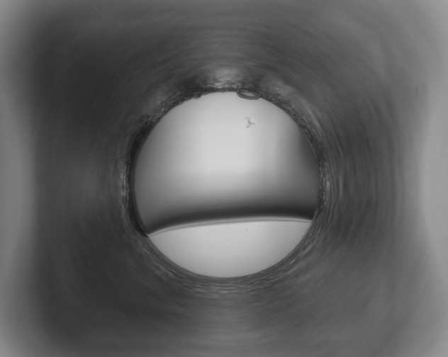 X0000102280620200807250942