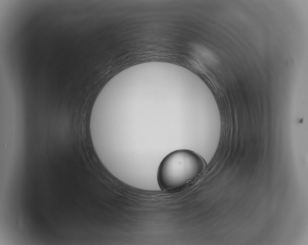 X0000102280621200807250942