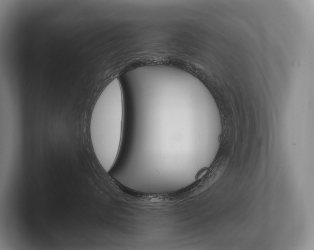 X0000102280624200807250942