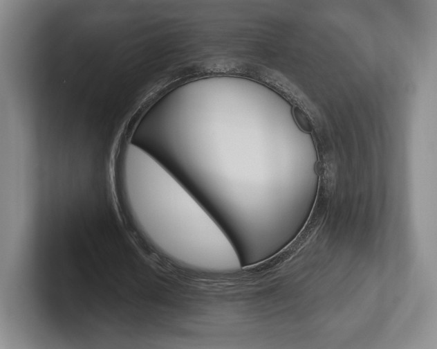 X0000102280626200807250941