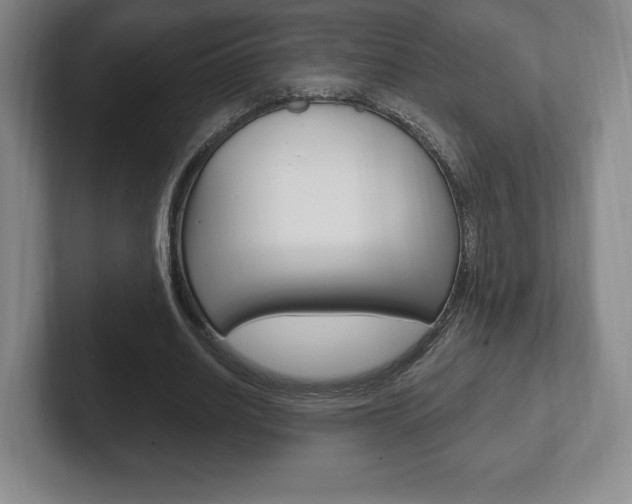 X0000102280630200807250942