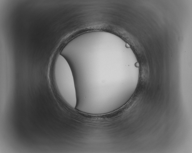 X0000102280636200807250942