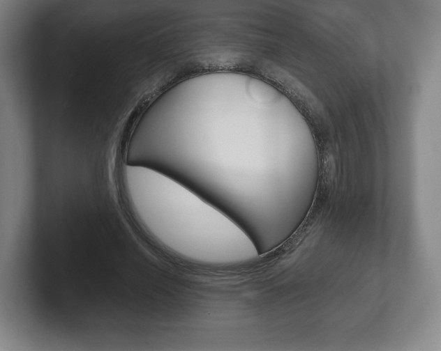 X0000102280638200807250942