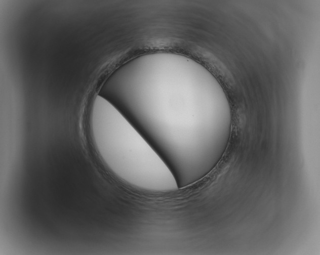 X0000102280640200807250942