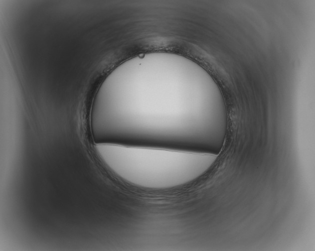 X0000102280642200807250942