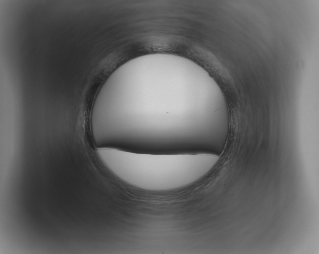 X0000102280645200807250942