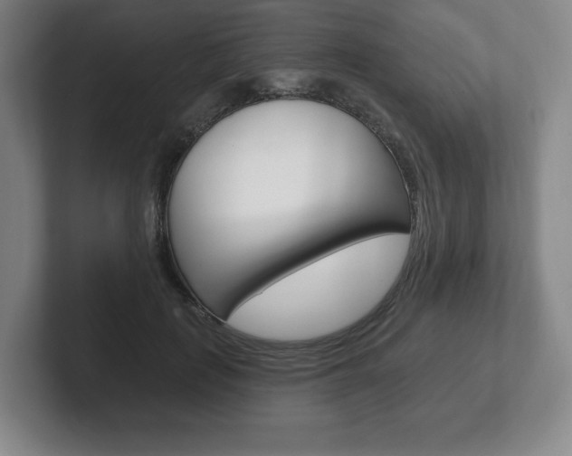 X0000102280651200807250942