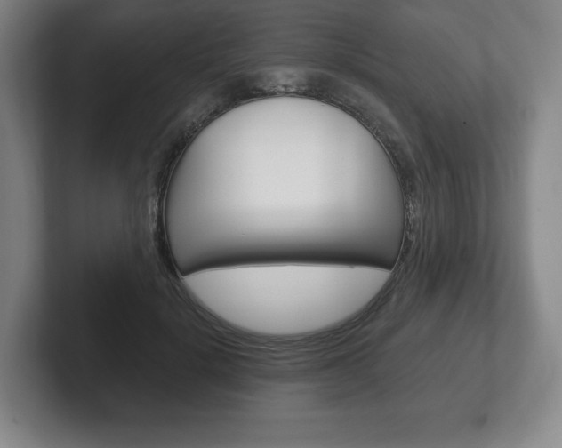 X0000102280652200807250942