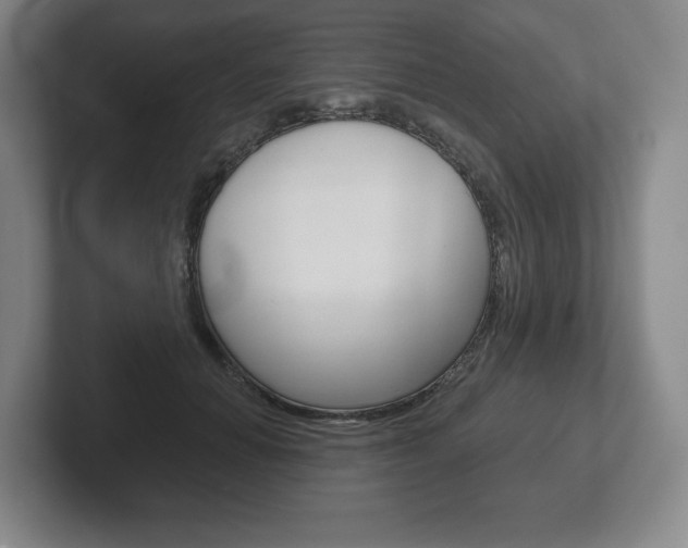X0000102280654200807250942