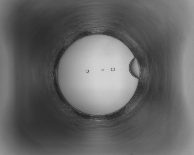 X0000102280655200807250942