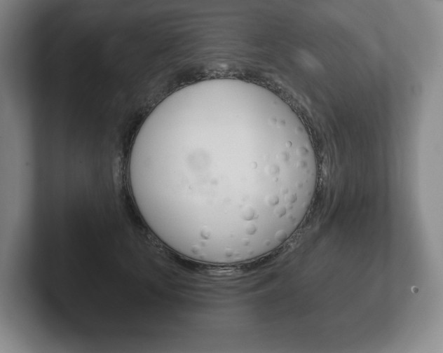 X0000102280659200807250942