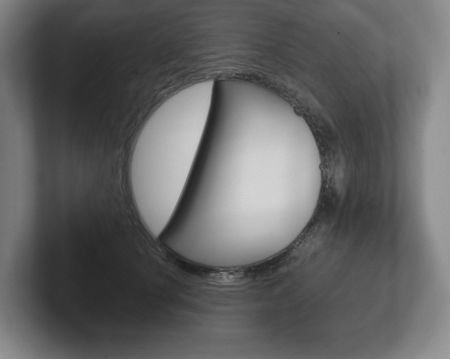 X0000102280660200807250942