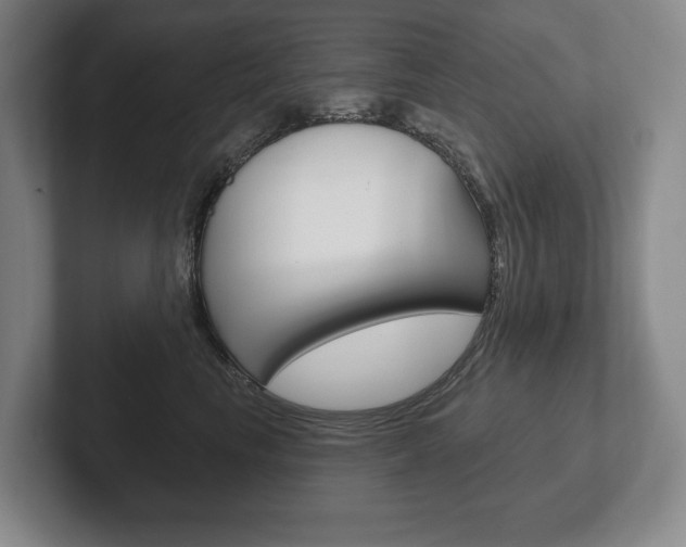 X0000102280665200807250942