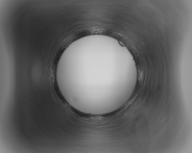 X0000102280666200807250942