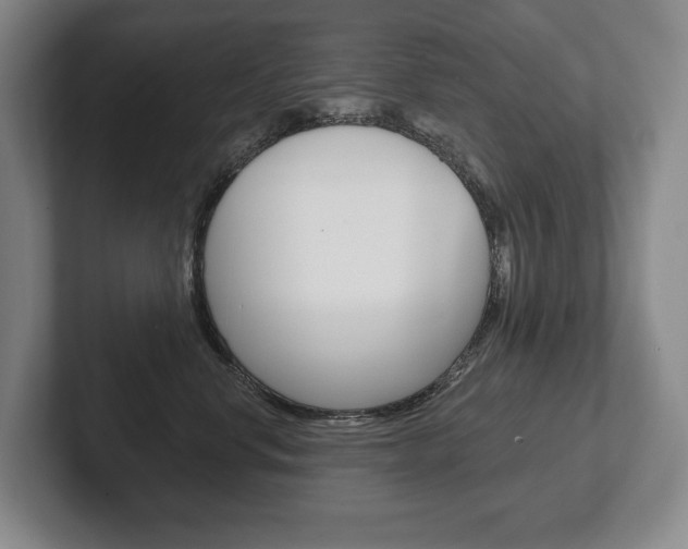 X0000102280668200807250942