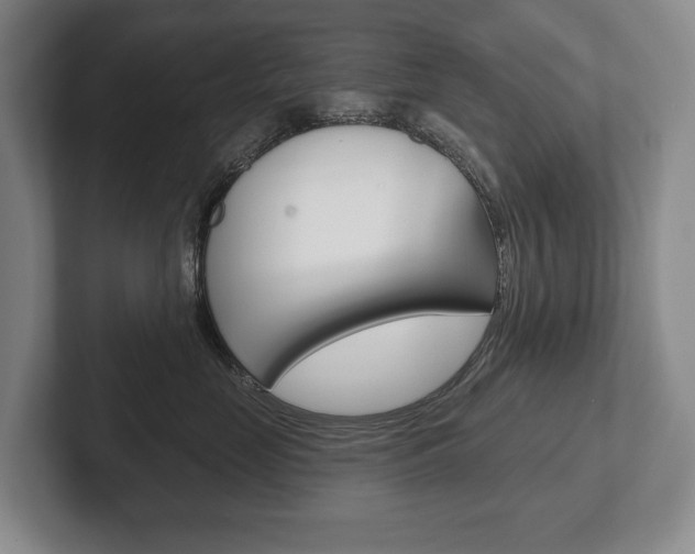 X0000102280669200807250942
