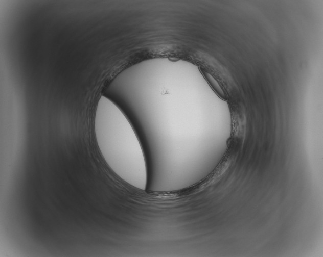X0000102280670200807250942