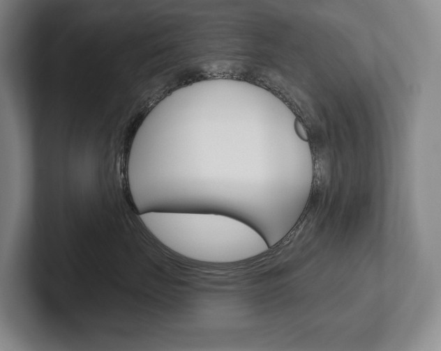 X0000102280671200807250942