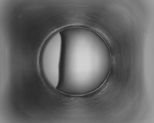 X0000102280676200807250941
