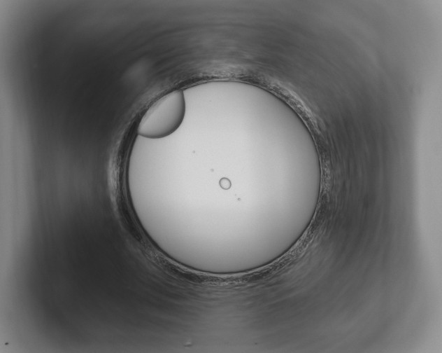 X0000102280679200807250941