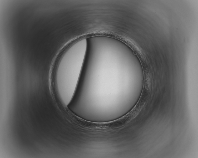 X0000102280680200807250941