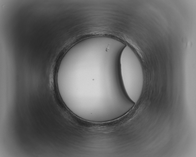 X0000102280681200807250941