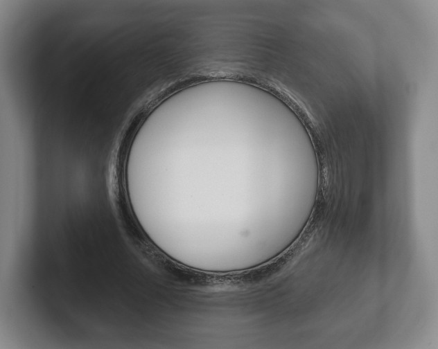 X0000102280682200807250941