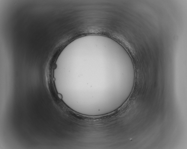 X0000102280683200807250941