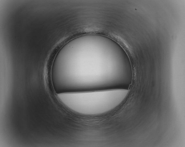 X0000102280684200807250941