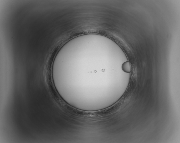 X0000102280687200807250941