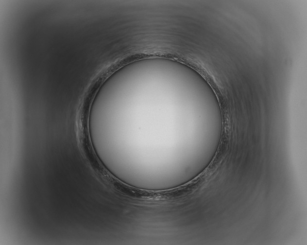 X0000102280688200807250941